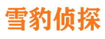 红旗市调查公司